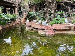 -长鹿旅游休博园