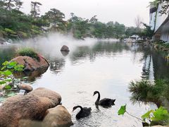 -罗红摄影艺术馆