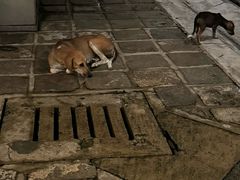 -Ministry of Crab(科伦坡店)