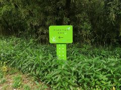 -西湖风景区-江洋畈生态公园
