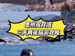 -广东惠东海龟国家级自然保护区