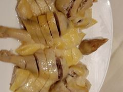 -锦粤宫·精致粤菜(深圳北站店)