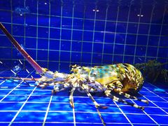 -粤珍轩.创始店.始于2001(含光门店)