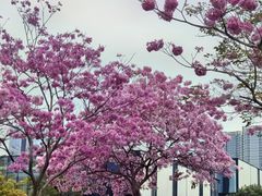 -万科前海企业公馆