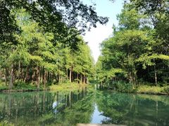 -西溪国家湿地公园