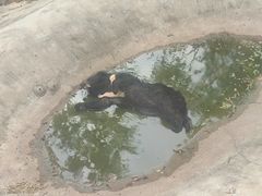 -泉州海丝野生动物世界