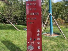 -莲花池公园