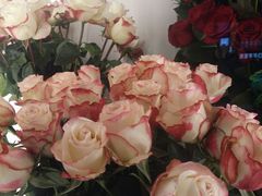 -Blueglass酸奶(财富购物中心店)