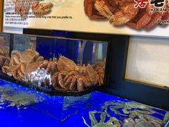 -蟹道乐(道顿堀本店)
