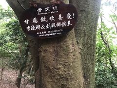 -普陀山风景区-佛顶山