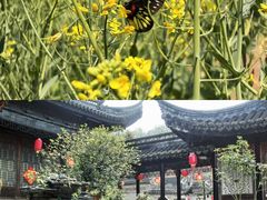 -中山詹园