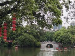 -荔湾湖公园