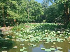 -人民公园-相亲角