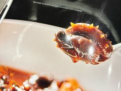 -宏宴·新京菜(望京店)