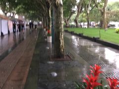 -西湖外事游船(湖滨二公园外事游船码头)