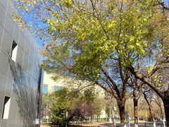 -北京国家会计学院