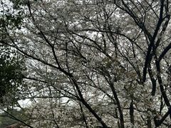 -中国茶叶博物馆(双峰馆区)