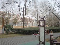 -唐城墙遗址公园