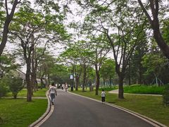 -海珠湖公园