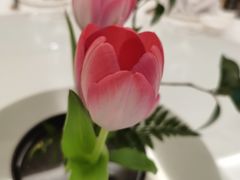 -漾亚·雍雅合鲜(鹭岛店)