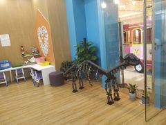 -创乐科教乐高机器人·编程·科技特长生规划中心(新地中心店)