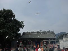 -悦城龙母祖庙