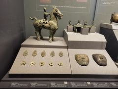 -广西壮族自治区博物馆