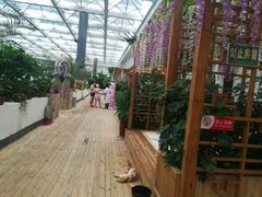 -天源吉布世温泉水乐园