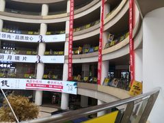 -中国丹阳眼镜城