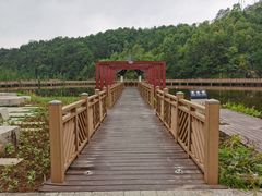 -神光山国家森林公园