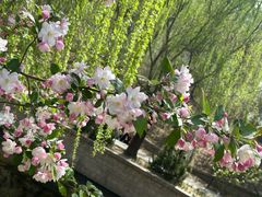 -元大都城垣遗址公园