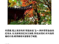 -秋霞圃