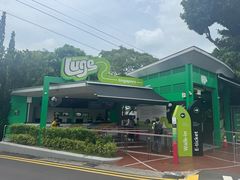 -圣淘沙天际线斜坡滑车