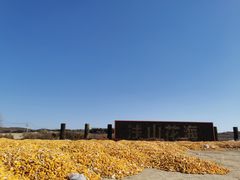-莲花山花海