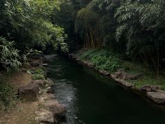 -杭州植物园