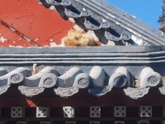 -北京市劳动人民文化宫(太庙)