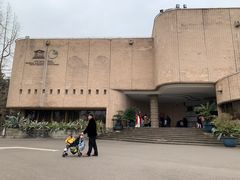 -自贡恐龙博物馆