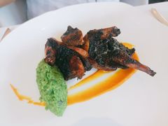 碳烤乳鸽，甜豆，旱金莲醋汁-Jean Georges