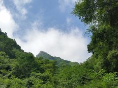 -陕西省红河谷森林公园