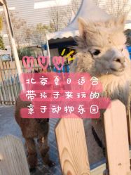 -萌宠亲子动物乐园(槐房万达店)