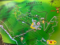 -呀诺达热带雨林