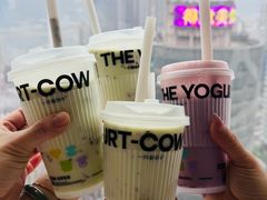 -一只酸奶牛(八一路店)