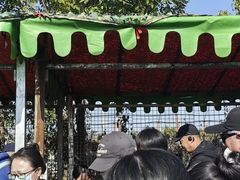 -河北村民俗体验园