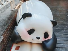-轩客会(熊猫书店)