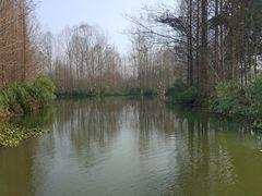 -桤木河湿地公园