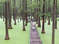 -渌洋湖湿地公园