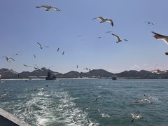 -海驴岛(荣成市)