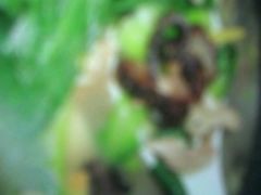 -木柴豆腐·活海鲜·鲁菜