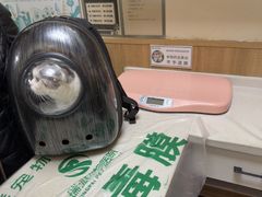 -瑞派宠物医院·24h·骨外科·皮肤科·全科宠物医疗转诊中心(沈阳浑南院)