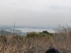 -香雪海